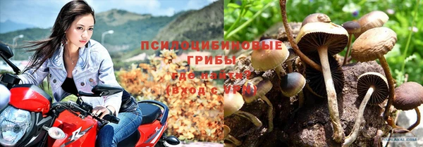 скорость Абаза