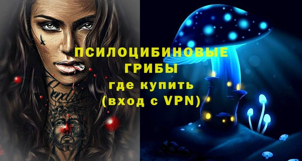 ECSTASY Алексин