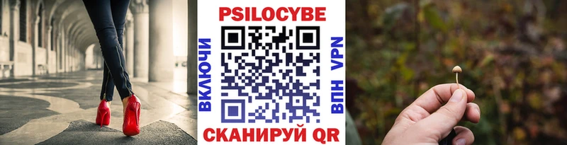 blacksprut   купить закладку  Черкесск  Галлюциногенные грибы прущие грибы 