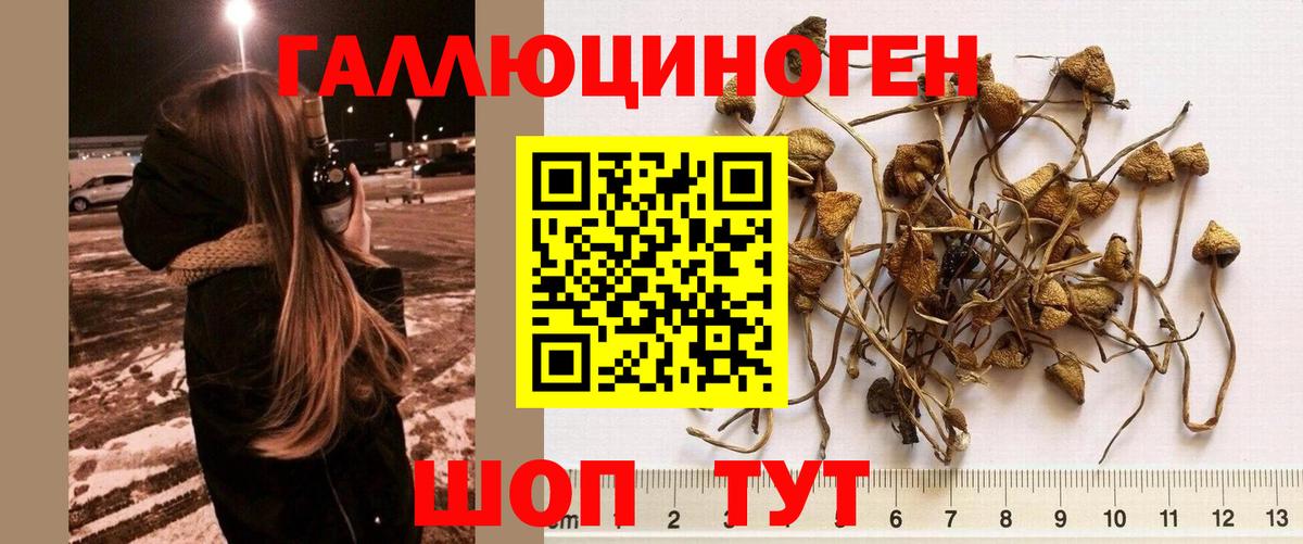 Галлюциногенные грибы ЛСД Черкесск