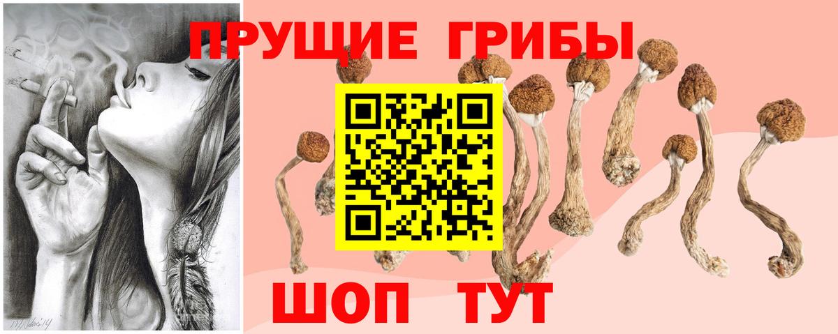 Псилоцибиновые грибы Psilocybe  Псилоцибиновые грибы мухоморы  Вход с VPN  Черкесск 